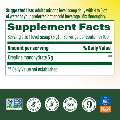 MegaFood Micronized Creatine Monohydrate Powder - Unflavored Post & Pre Workout Powder for Men & Women - Cognitive & Exercise Performance Support - PrimeBioHealth - canada supplements