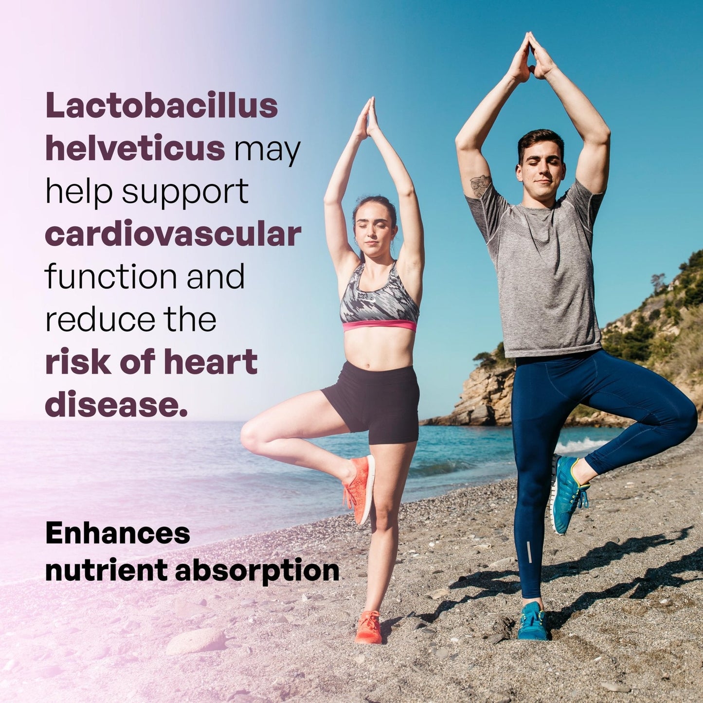 MEIBOTAN L-Helveticus Probiotic Bacteria with 25 Billion CFU for Women & Men, Helps Digestion, Nutrient Absorption and Fight Bad Bacterias - 60 Veggie Capsules - PrimeBioHealth - canada supplements