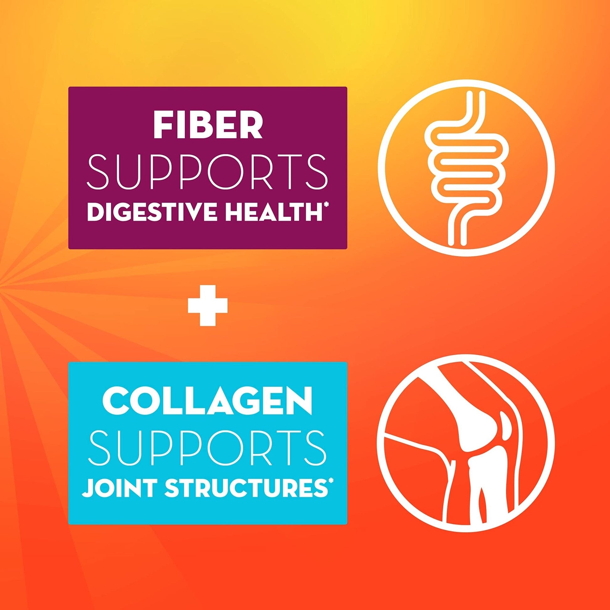 Metamucil Daily Fiber + Collagen, Psyllium Husk Powder, Plant Based Fiber Supplement, Sugar-Free with Stevia, 3-in-1 Fiber Supplement - PrimeBioHealth - canada supplements