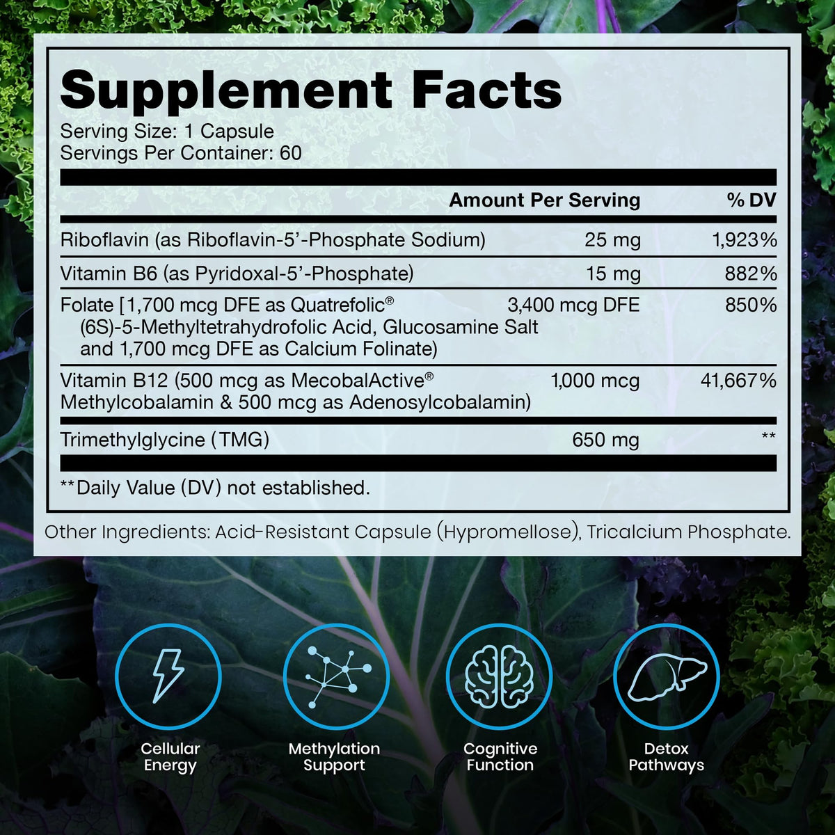 Methylated B Complex Vitamins, Made in USA, 2 Month Supply, Methyl B Complete Quatrefolic 5-MTHF Folate, B12 Methylcobalamin, TMG Trimethylglycine - PrimeBioHealth - canada supplements
