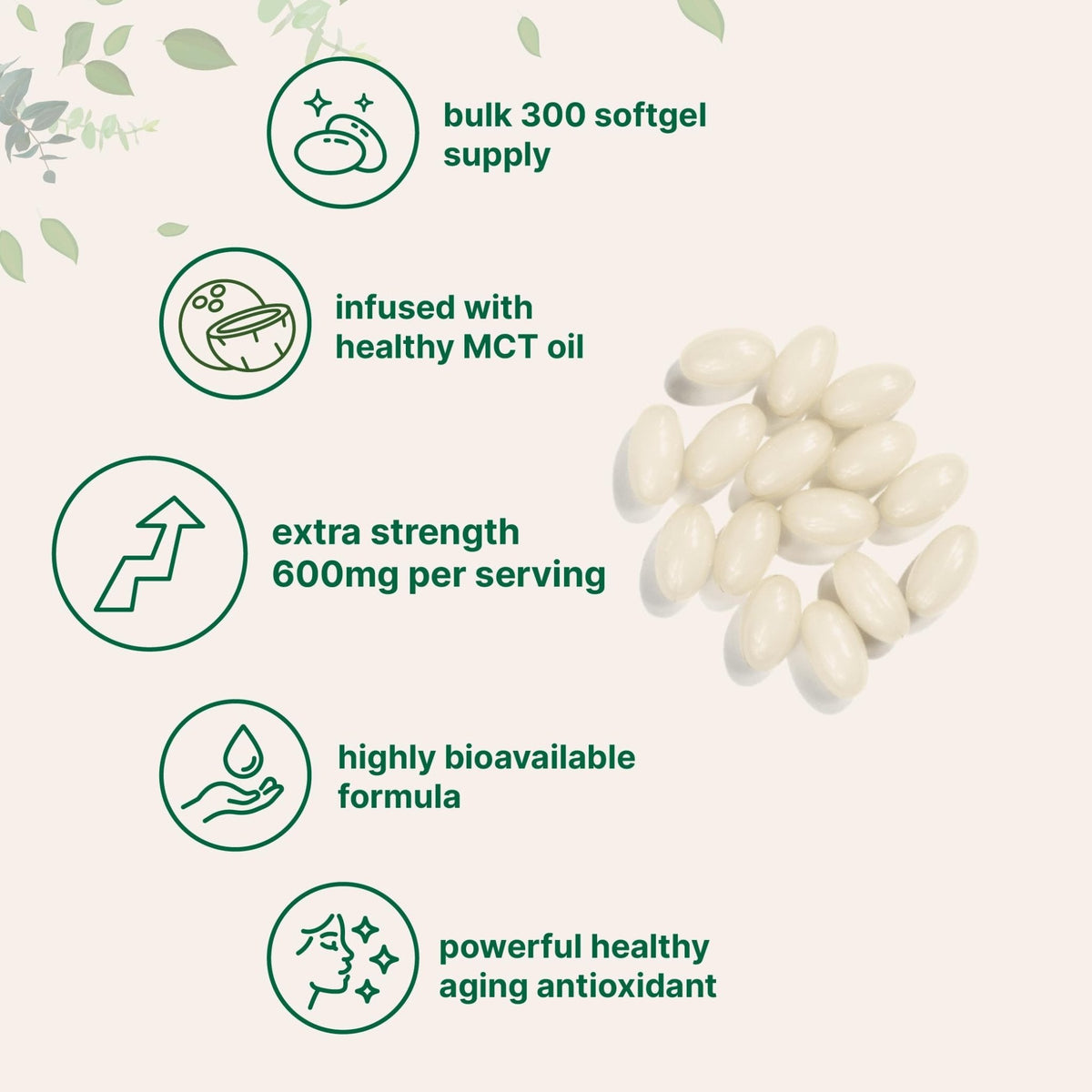 Micro Ingredients Alpha Lipoic Acid 600mg with MCT Oil, 300 Softgels | ALA Supplement for Liver, Antioxidants, Nerve, Cardiovascular Health Support - PrimeBioHealth - canada supplements