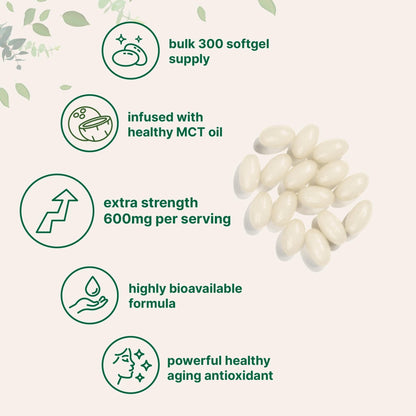 Micro Ingredients Alpha Lipoic Acid 600mg with MCT Oil, 300 Softgels | ALA Supplement for Liver, Antioxidants, Nerve, Cardiovascular Health Support - PrimeBioHealth - canada supplements