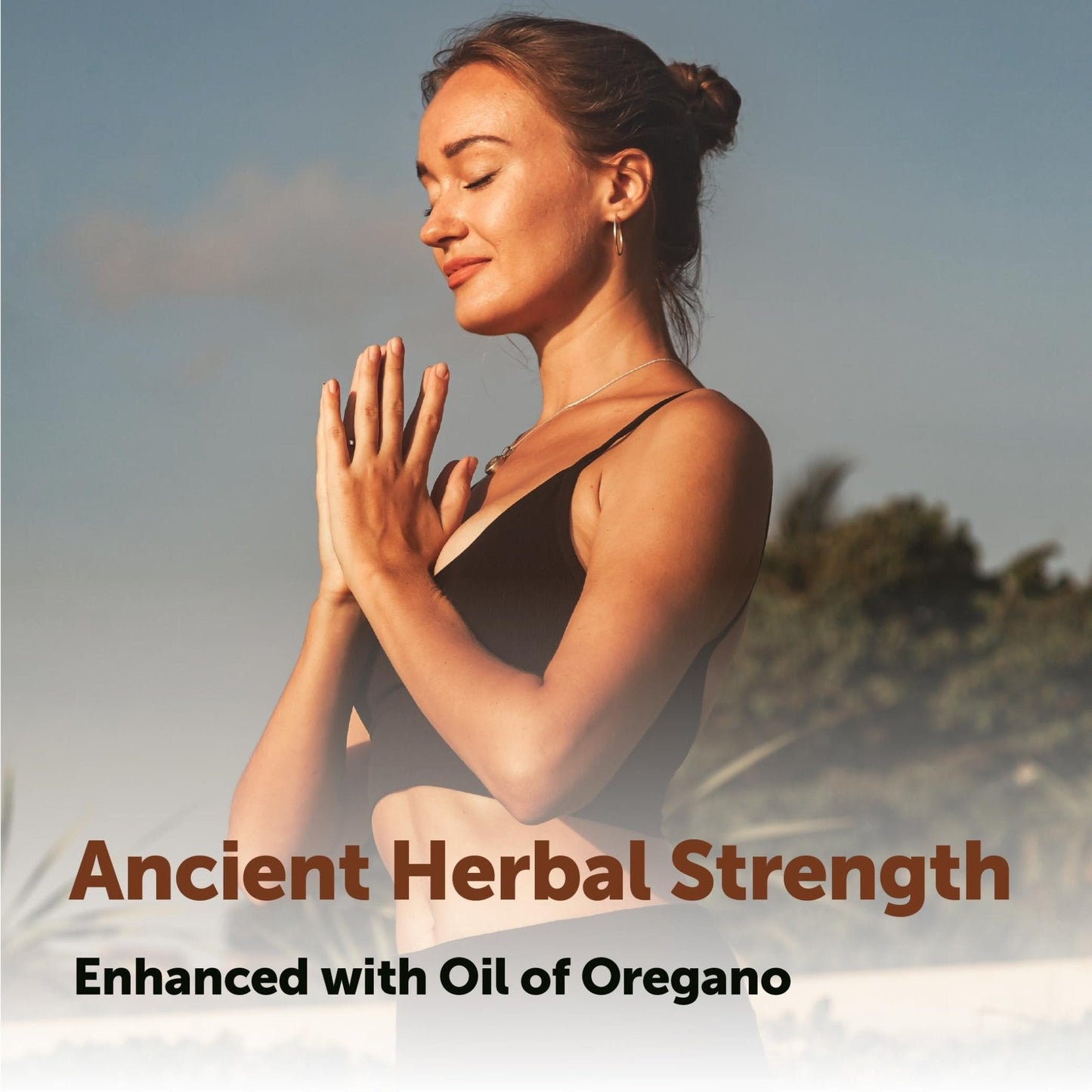 Micro Ingredients Black Seed Oil Softgels, 3,000mg, 240 Count | 2-in-1 Formula with Oil of Oregano, Carvacrol & Thymoquinone | Plant Based, Non-GMO - PrimeBioHealth - canada supplements