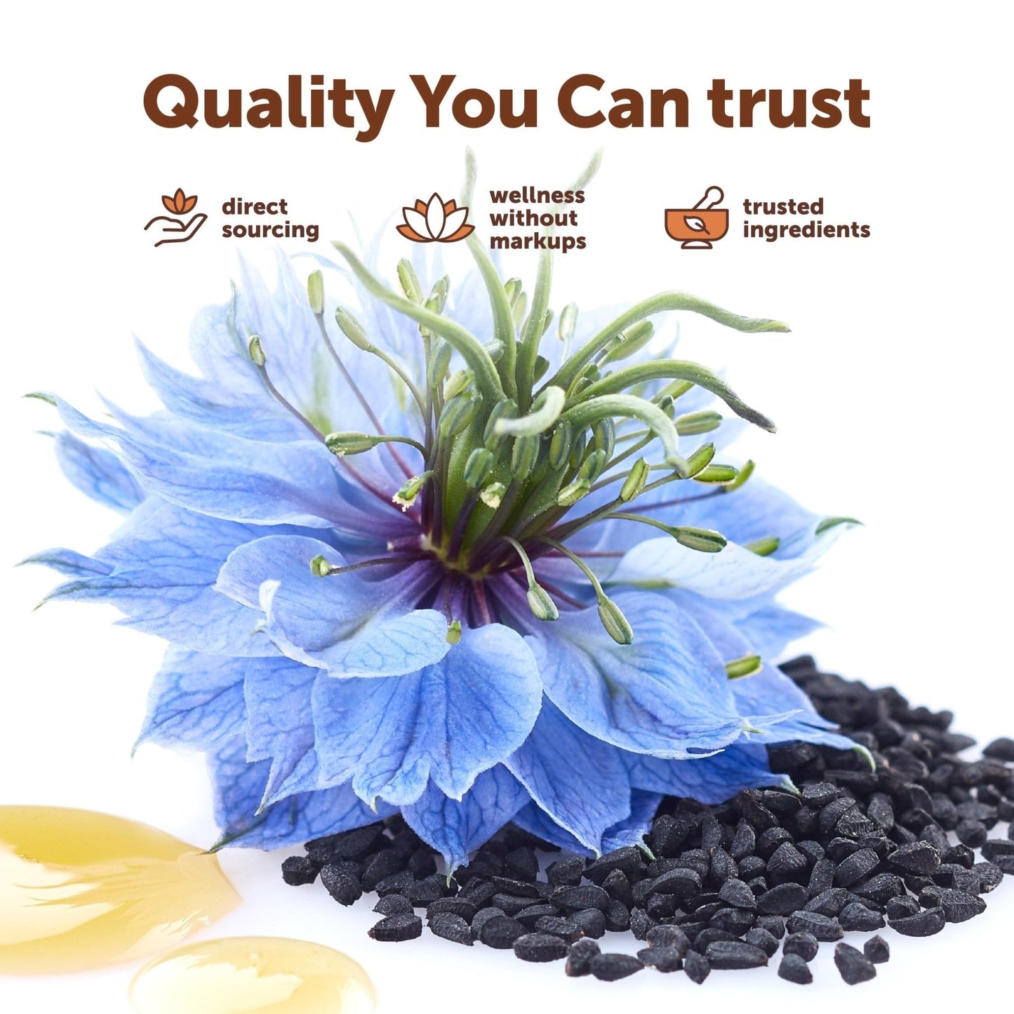 Micro Ingredients Black Seed Oil Softgels, 3,000mg, 240 Count | 2-in-1 Formula with Oil of Oregano, Carvacrol & Thymoquinone | Plant Based, Non-GMO - PrimeBioHealth - canada supplements
