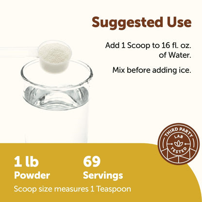 Micro Ingredients Hydration Electrolyte Powder, 1 lb (69 Servings) | Lemon Raspberry Flavor | High Potassium (1,000mg) + Coconut Water & Real Lemon Juice | No Sugar, Keto Friendly | Non-GMO - PrimeBioHealth - canada supplements