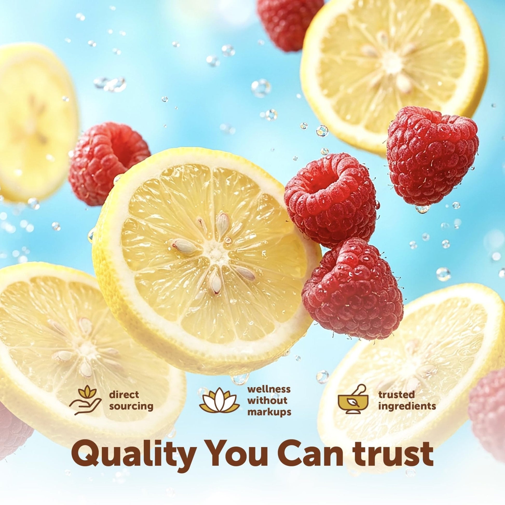 Micro Ingredients Hydration Electrolyte Powder, 1 lb (69 Servings) | Lemon Raspberry Flavor | High Potassium (1,000mg) + Coconut Water & Real Lemon Juice | No Sugar, Keto Friendly | Non-GMO - PrimeBioHealth - canada supplements