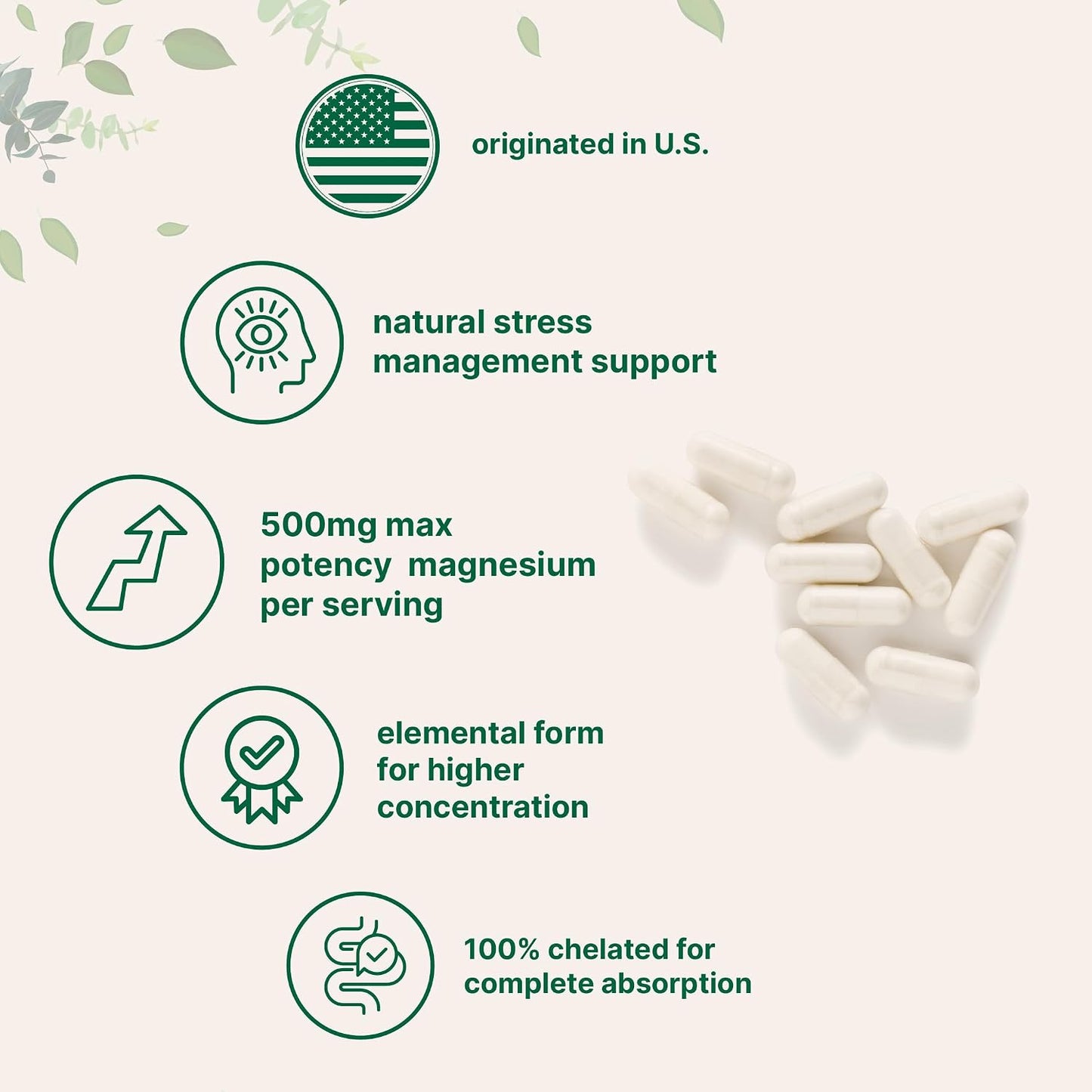 Micro Ingredients Magnesium Glycinate 500mg Per Serving, 240 Capsules | Potent Elemental Form, Chelated, High Absorption | Healthy Muscle, Bones, & Mood Support Supplement | Non-GMO - PrimeBioHealth - canada supplements
