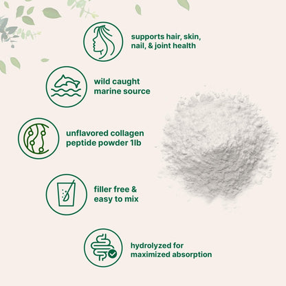 Micro Ingredients Marine Collagen Peptides Powder, 1 lb | Type I Marine Collagen + Natural Protein | Wild-Caught Fish Source - PrimeBioHealth - canada supplements