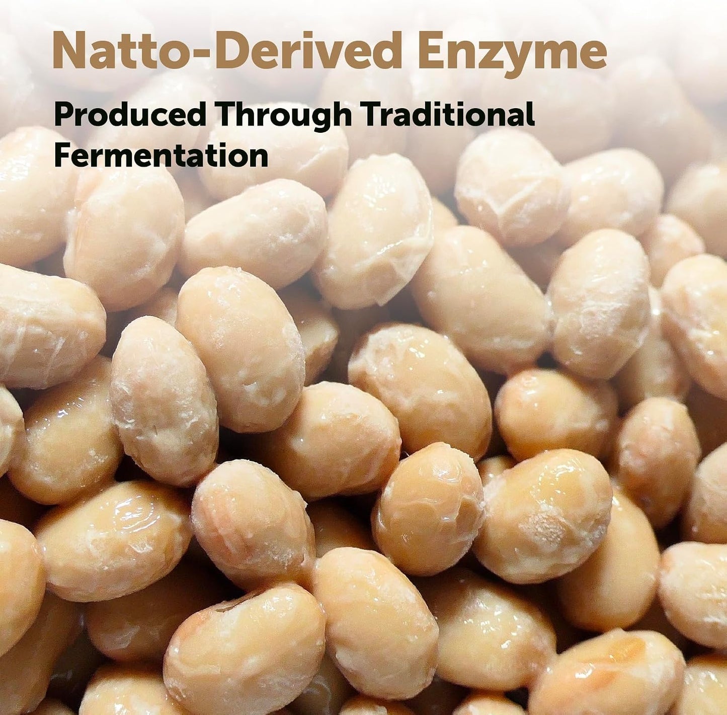 Micro Ingredients Nattokinase 10,000 FU Per Serving (Natural Natto Extract), 240 Vegetarian Capsules | with CoQ10, Turmeric, Aged Garlic & Pine Bark Extract | Non-GMO, Lab Tested, cGMP Manufactured - PrimeBioHealth - canada supplements