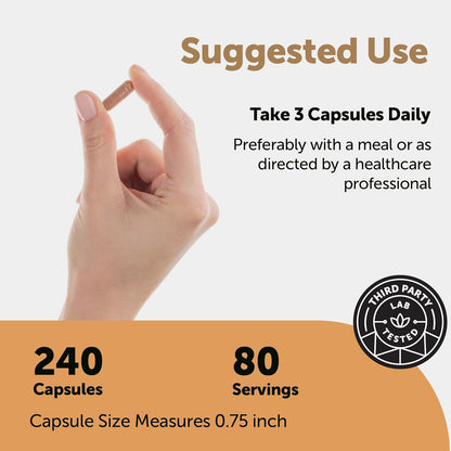 Micro Ingredients Nattokinase 10,000 FU Per Serving (Natural Natto Extract), 240 Vegetarian Capsules | with CoQ10, Turmeric, Aged Garlic & Pine Bark Extract | Non-GMO, Lab Tested, cGMP Manufactured - PrimeBioHealth - canada supplements