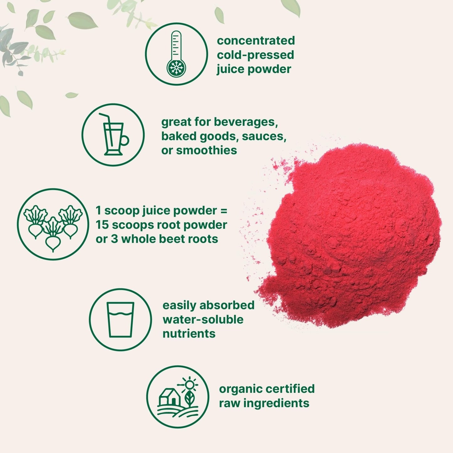 Micro Ingredients Organic Beet Root Juice Powder, 1 Pound | Cold Pressed, Water Soluble, High Concentrated Raw Beet Supplement | Superfood Drink Mix - PrimeBioHealth - canada supplements