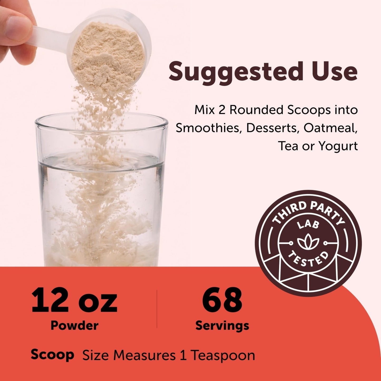 Micro Ingredients Organic Camu Camu Powder, 12 oz | Freshly Harvested Berry | Source of Naturally Occurring Vitamin C | Non-GMO, Vegan Friendly - PrimeBioHealth - canada supplements