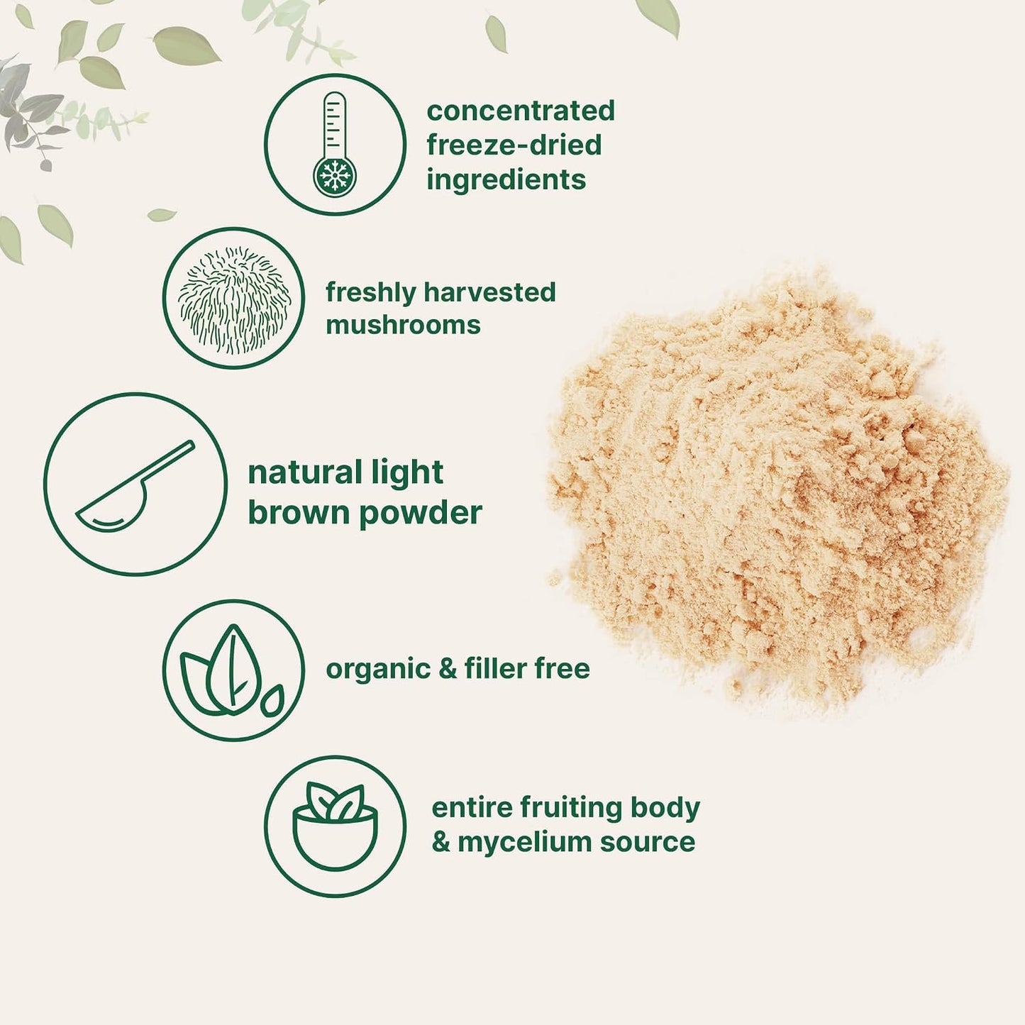 Micro Ingredients Organic Lion’s Mane Mushroom Powder, 16oz | Pure Fruiting Body Superfood | Supports Brain, Focus, Energy & Immune Health | Great for Smoothies & Coffee | Filler Free, Vegan, Non-GMO - PrimeBioHealth - canada supplements