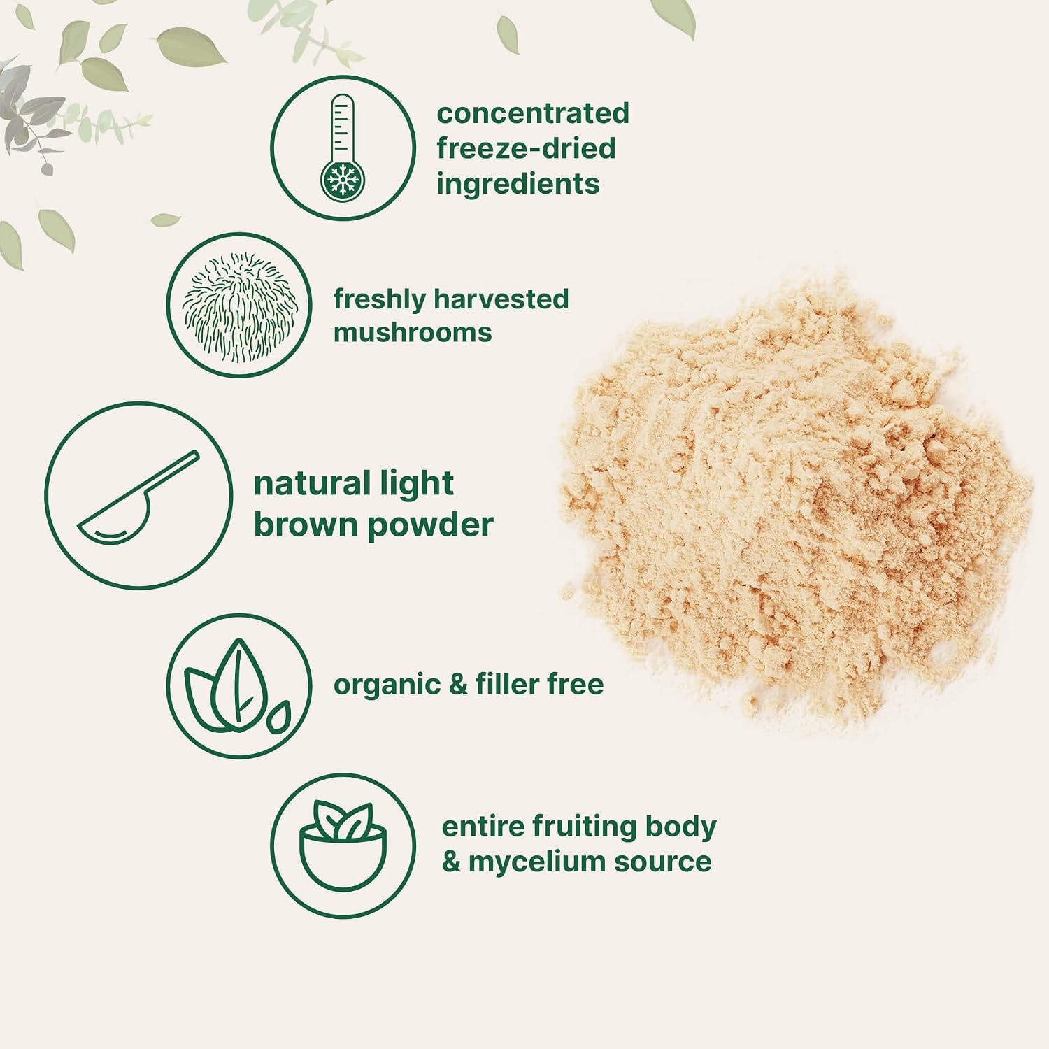 Micro Ingredients Organic Lion’s Mane Mushroom Powder, 16oz | Pure Fruiting Body Superfood | Supports Brain, Focus, Energy & Immune Health | Great for Smoothies & Coffee | Filler Free, Vegan, Non-GMO - PrimeBioHealth - canada supplements