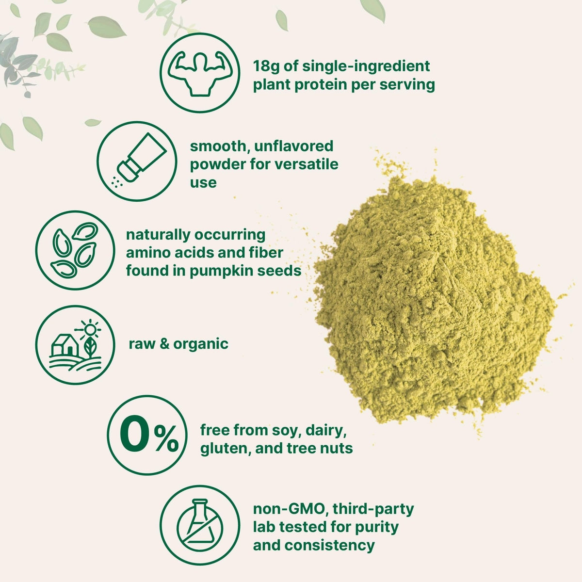Micro Ingredients Organic Pumpkin Seed Protein Powder, 2lb | Raw Plant-Based Protein | Single-Ingredient Powder | Smooth Texture & Versatile Use | Non-GMO, Soy Free - PrimeBioHealth - canada supplements
