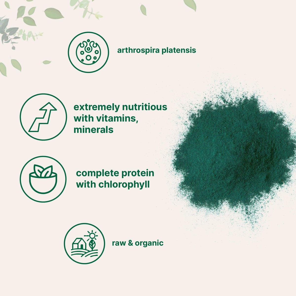 Micro Ingredients Organic Spirulina Powder, 1lb | Blue-Green Algae, Rich in Vegan Protein, Vitamins & Minerals | Source of Natural Chlorophyll & Enzymes - PrimeBioHealth - canada supplements