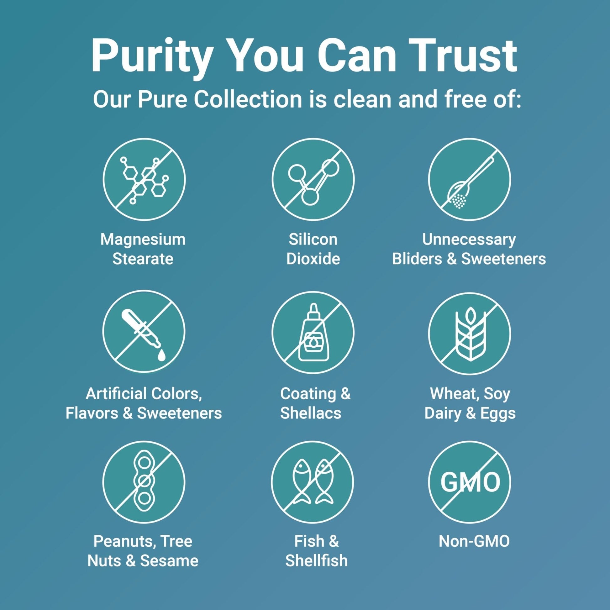 Micro Ingredients Pure Methylated B Complex, 240 Capsules | 11-in-1 Formula with Methylfolate, B12, Thiamin, Inositol, Choline, & Fat Soluble Vitamin C | Clean Ingredients Without Fillers | Non-GMO - PrimeBioHealth - canada supplements