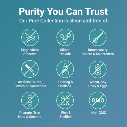 Micro Ingredients Pure Methylated Multivitamin, 240 Capsules | 19-in-1 Formula with Vitamins C, D, B12, Folate, Magnesium, Zinc & More | Filler Free, Non-GMO - PrimeBioHealth - canada supplements