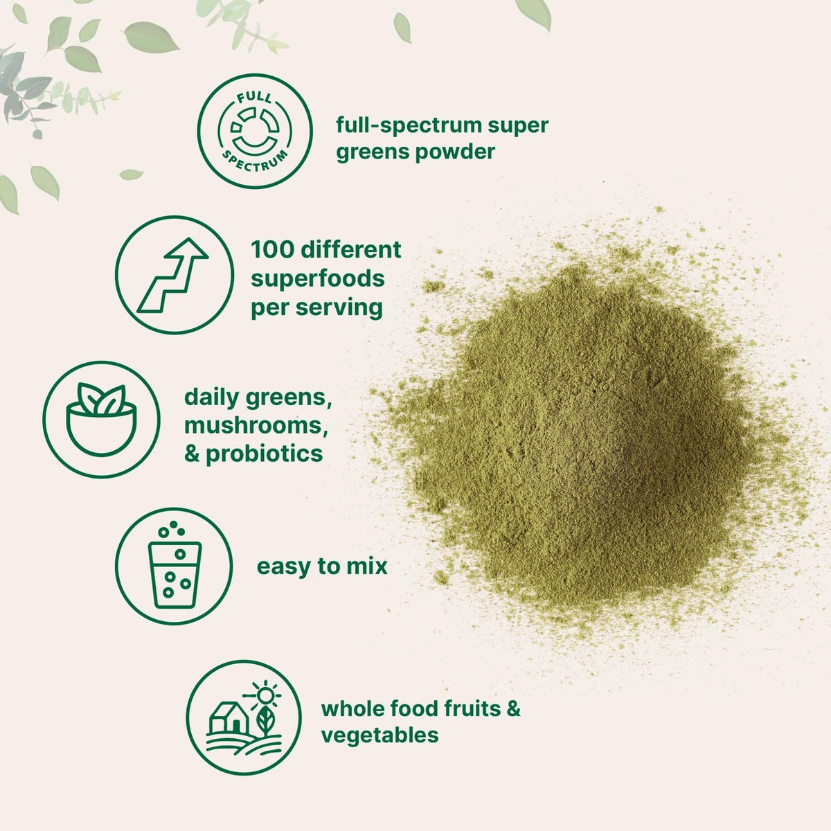 Micro Ingredients Super Greens Powder, 1lb | 100 Superfood Blend with Daily Greens, Probiotics, Fruits, Vegetables & Mushrooms | Source of Vegan Protein & Enzymes - PrimeBioHealth - canada supplements