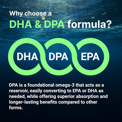 Micro Ingredients Vegan Omega 3 Algae Oil, 240 Veggie Softgels | Fish Oil Alternative | DHA 500mg & DPA 100mg | Carrageenan Free | Plant-Based Omega 3 with Flaxseed & ALA | Lemon Flavored - PrimeBioHealth - canada supplements