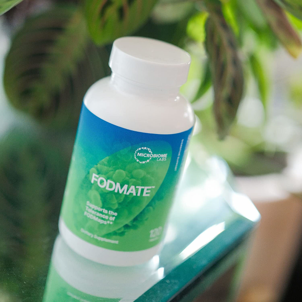 Microbiome Labs FODMATE Digestive Enzymes for Women & Men - Digestive Support for Low FODMAP Protocols & Occasional Bloating, Gas & Stomach Relief (120 Capsules) - PrimeBioHealth - canada supplements
