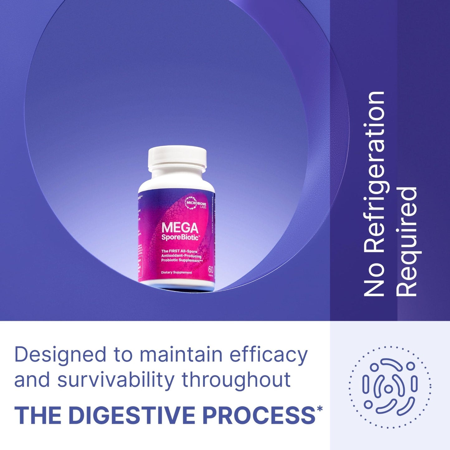 Microbiome Labs MegaSporeBiotic Probiotics for Women & Men - Spore-Based Probiotic for Gut Health & Digestive Support - Shelf-Stable, Travel-Friendly - PrimeBioHealth - canada supplements