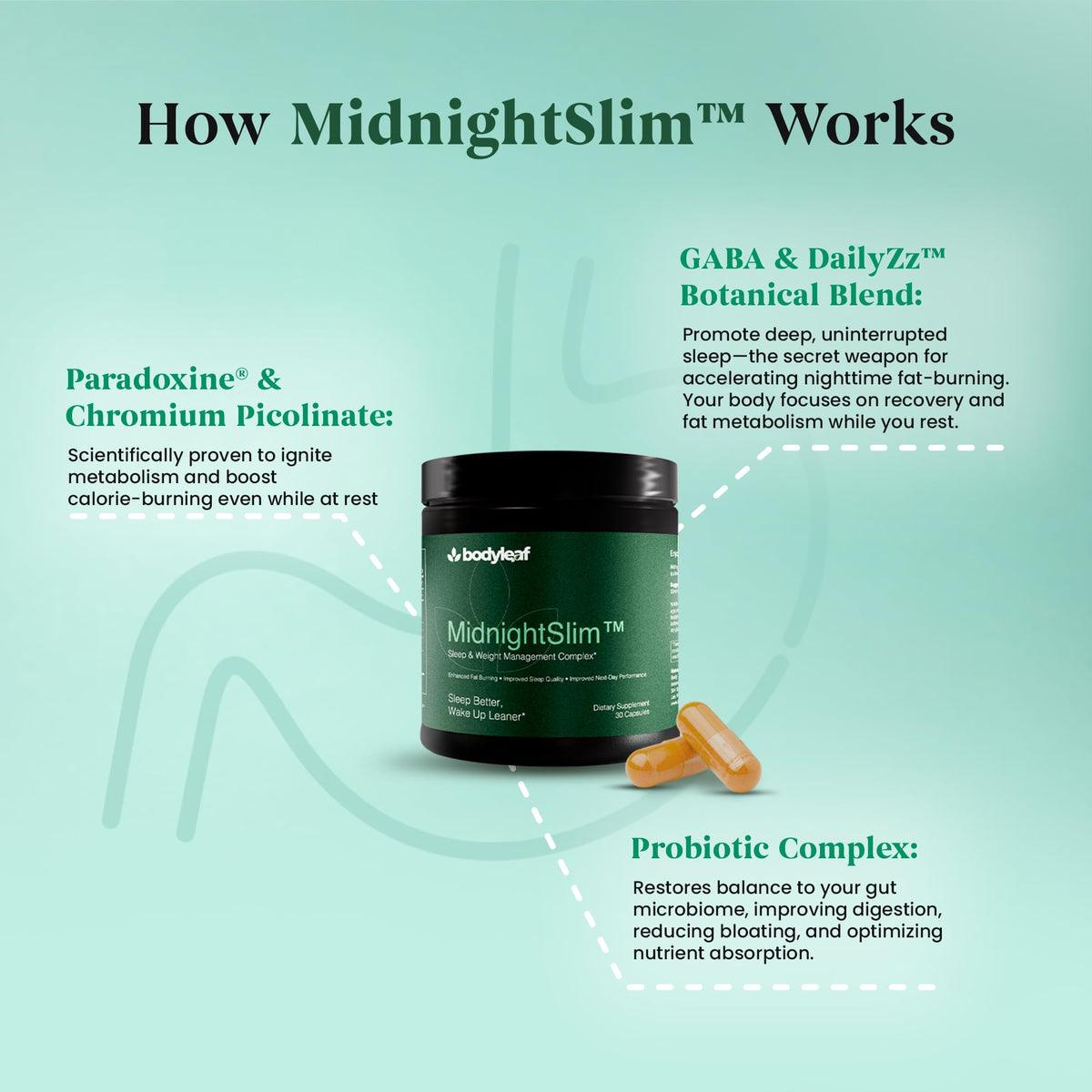 MidnightSlim™ | Advanced Nighttime Weight | Maximum Strength Metabolism Support, Digestive Health, Peaceful Sleep | Premium Probiotic Complex | 30 Capsules - PrimeBioHealth - canada supplements
