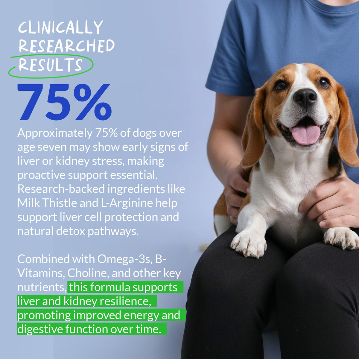 Milk Thistle for Dogs - 120 Chewable Tablets - Silymarin - Liver and Kidney Support with EPA & DHA - Detox - Liver Supplement for Dogs - PrimeBioHealth - canada supplements