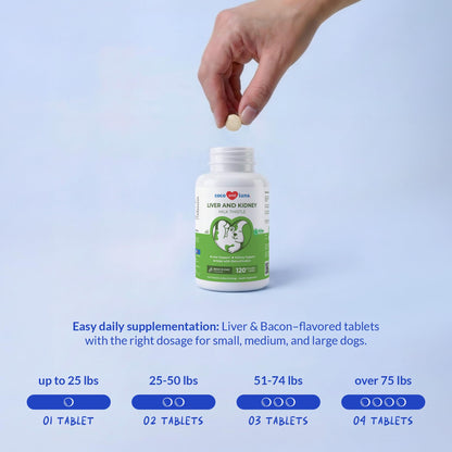 Milk Thistle for Dogs - 120 Chewable Tablets - Silymarin - Liver and Kidney Support with EPA & DHA - Detox - Liver Supplement for Dogs - PrimeBioHealth - canada supplements
