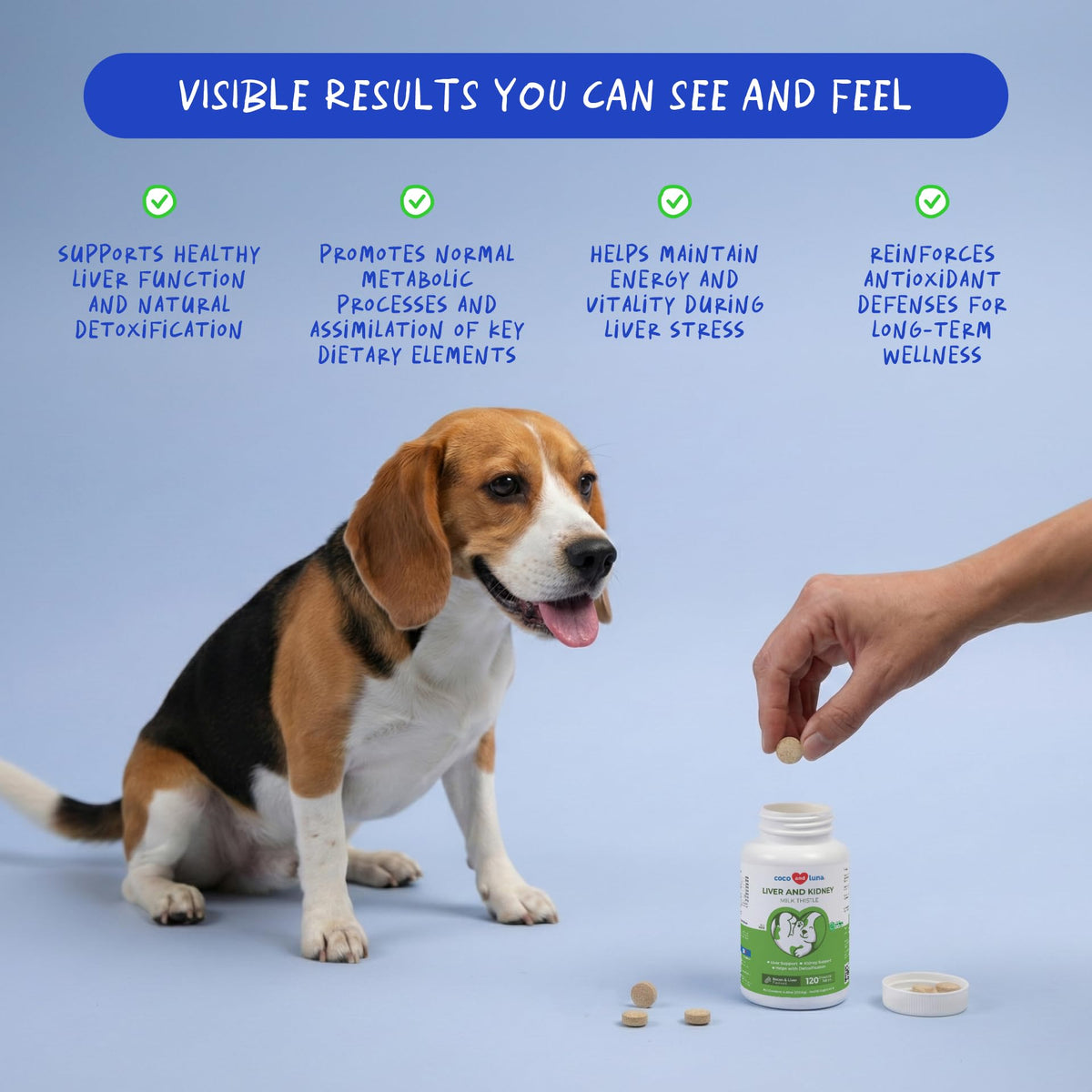 Milk Thistle for Dogs - 120 Chewable Tablets - Silymarin - Liver and Kidney Support with EPA & DHA - Detox - Liver Supplement for Dogs - PrimeBioHealth - canada supplements
