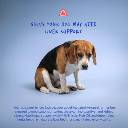 Milk Thistle for Dogs - 120 Chewable Tablets - Silymarin - Liver and Kidney Support with EPA & DHA - Detox - Liver Supplement for Dogs - PrimeBioHealth - canada supplements