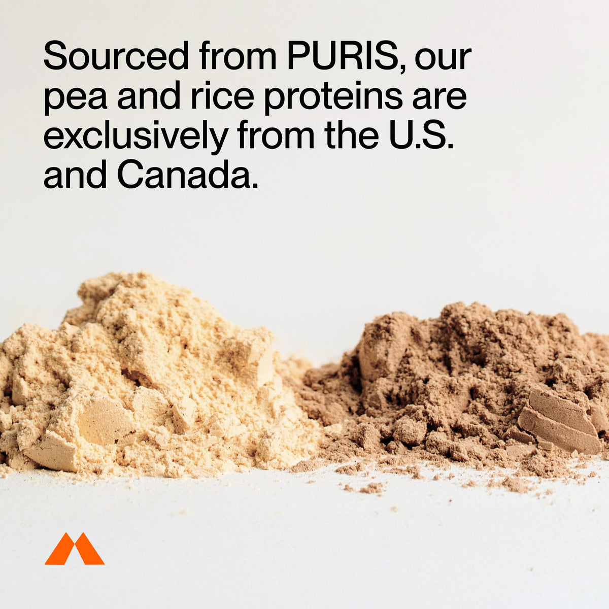 Momentous Vegan Protein Powder - 20 g Plant-Based Protein - NSF Certified for Sport - Gluten-Free - Non-GMO - 22 Servings for Essential Everyday Use - Chocolate - PrimeBioHealth - canada supplements