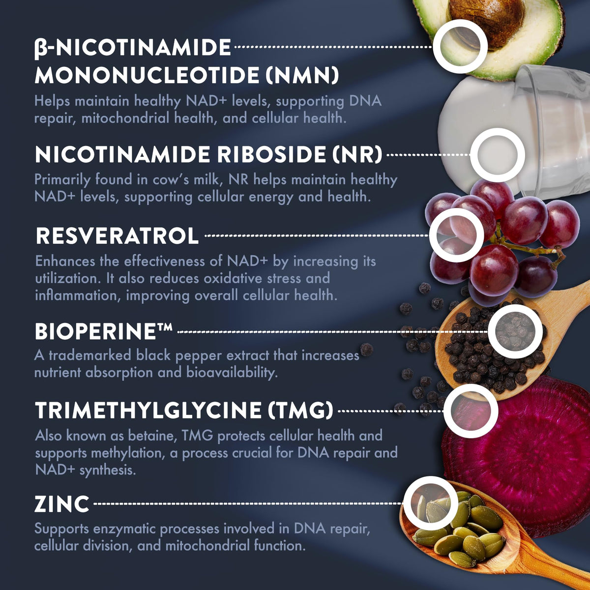 Mt. Angel Vitamins NMN Supplement + NR with Resveratrol & TMG, Dual NAD+ Precursors for Cellular Energy & Healthy Aging, 60 Capsules - PrimeBioHealth - canada supplements