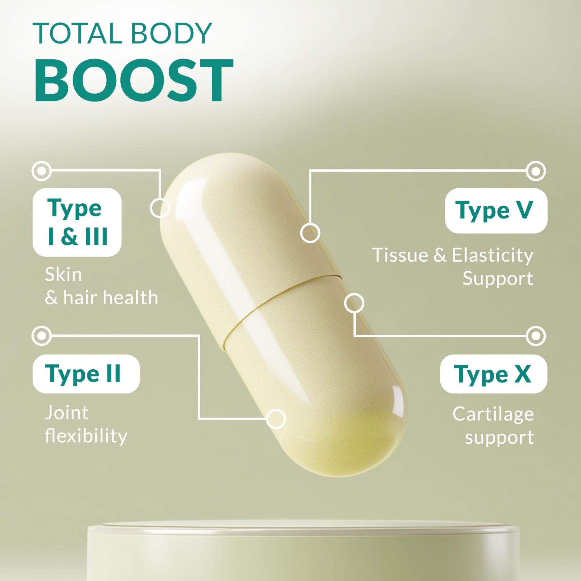 Multi Collagen 180 Protein Capsules - Type I, II, III, V, X Collagen Pills - Proprietary Blend of Eggshell, Chicken, Wild Fish & Grass-Fed - PrimeBioHealth - canada supplements