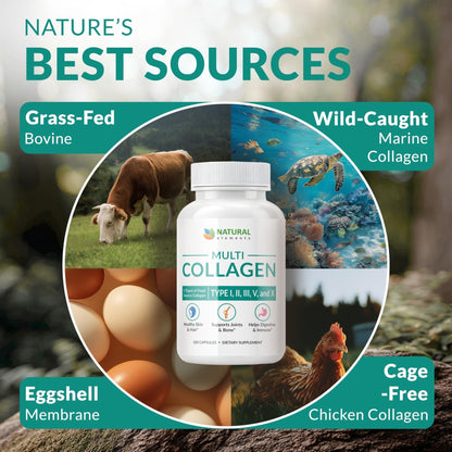 Multi Collagen 180 Protein Capsules - Type I, II, III, V, X Collagen Pills - Proprietary Blend of Eggshell, Chicken, Wild Fish & Grass-Fed - PrimeBioHealth - canada supplements