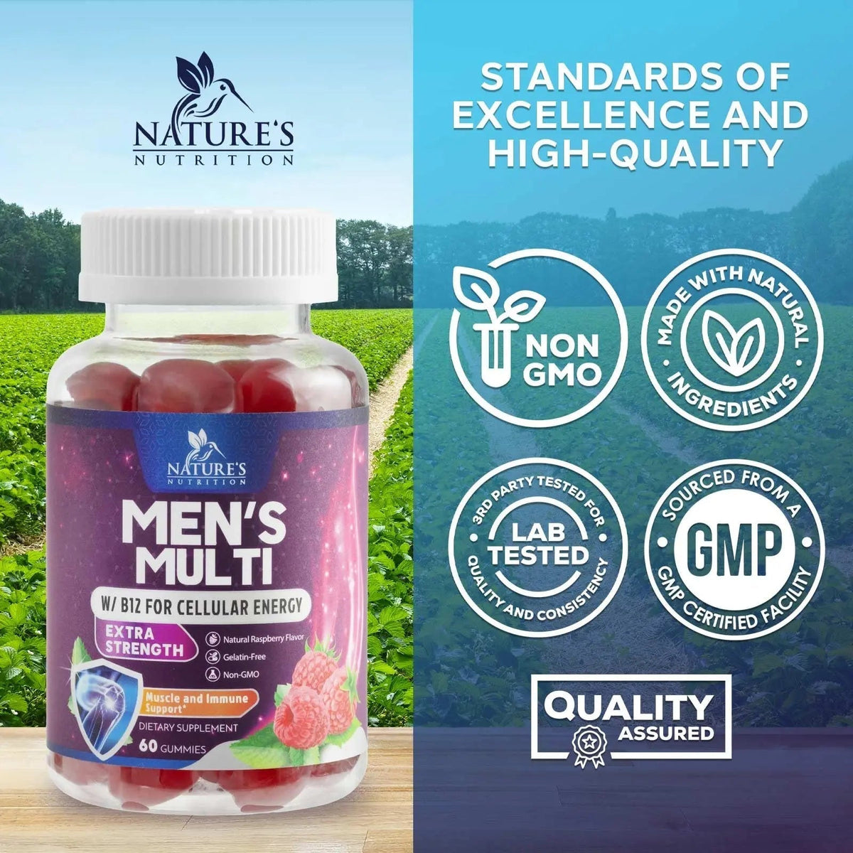 Multivitamin for Men - Complete Daily Mens Multivitamin Gummies with Vitamin D, B Vitamins, Zinc & More - Energy, Memory, Focus & Immune Health Support - PrimeBioHealth - canada supplements