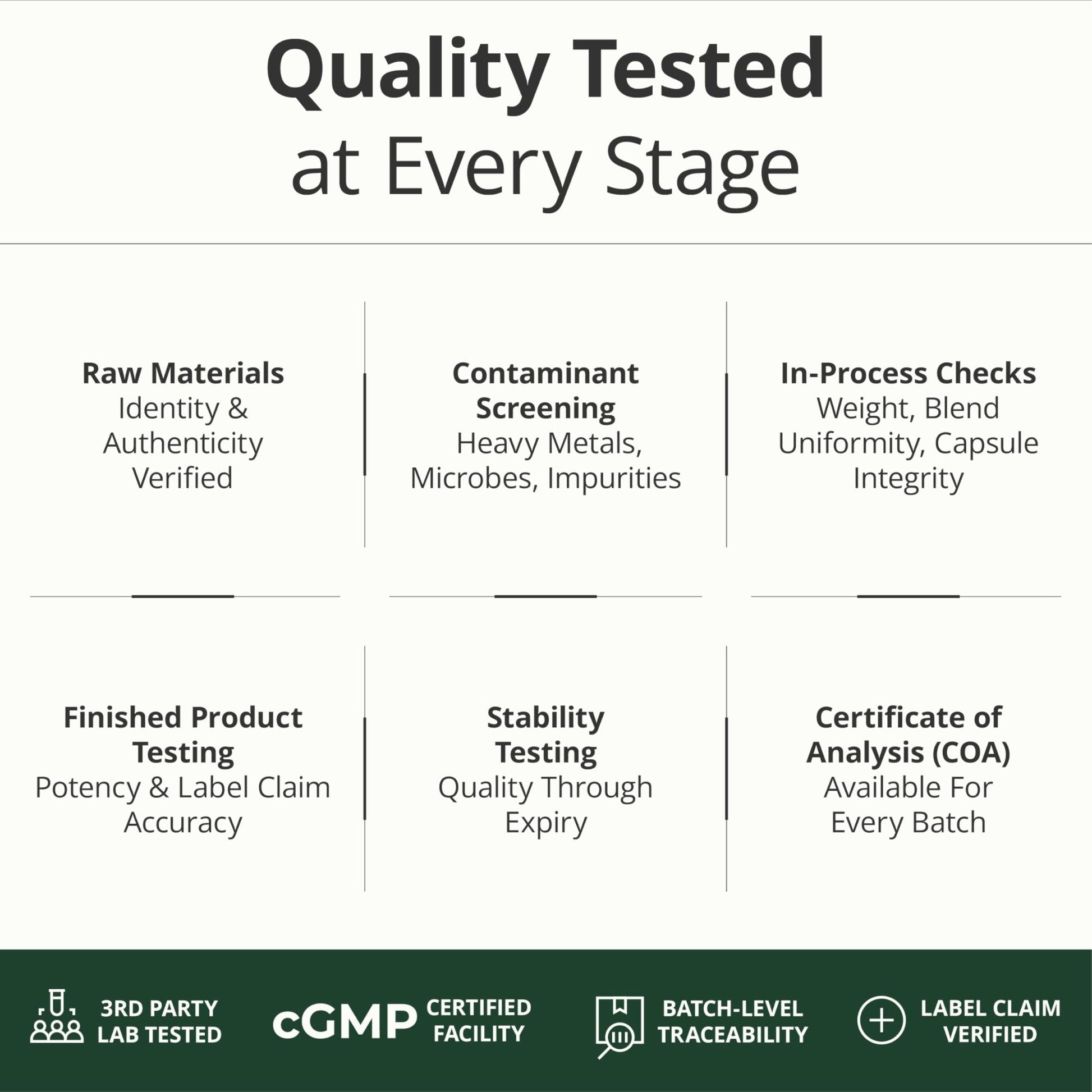 Multivitamin for Men with Methylated Vitamins and Chelated Minerals for Energy, Focus and Immune Health – Premium Daily Mens - PrimeBioHealth - canada supplements