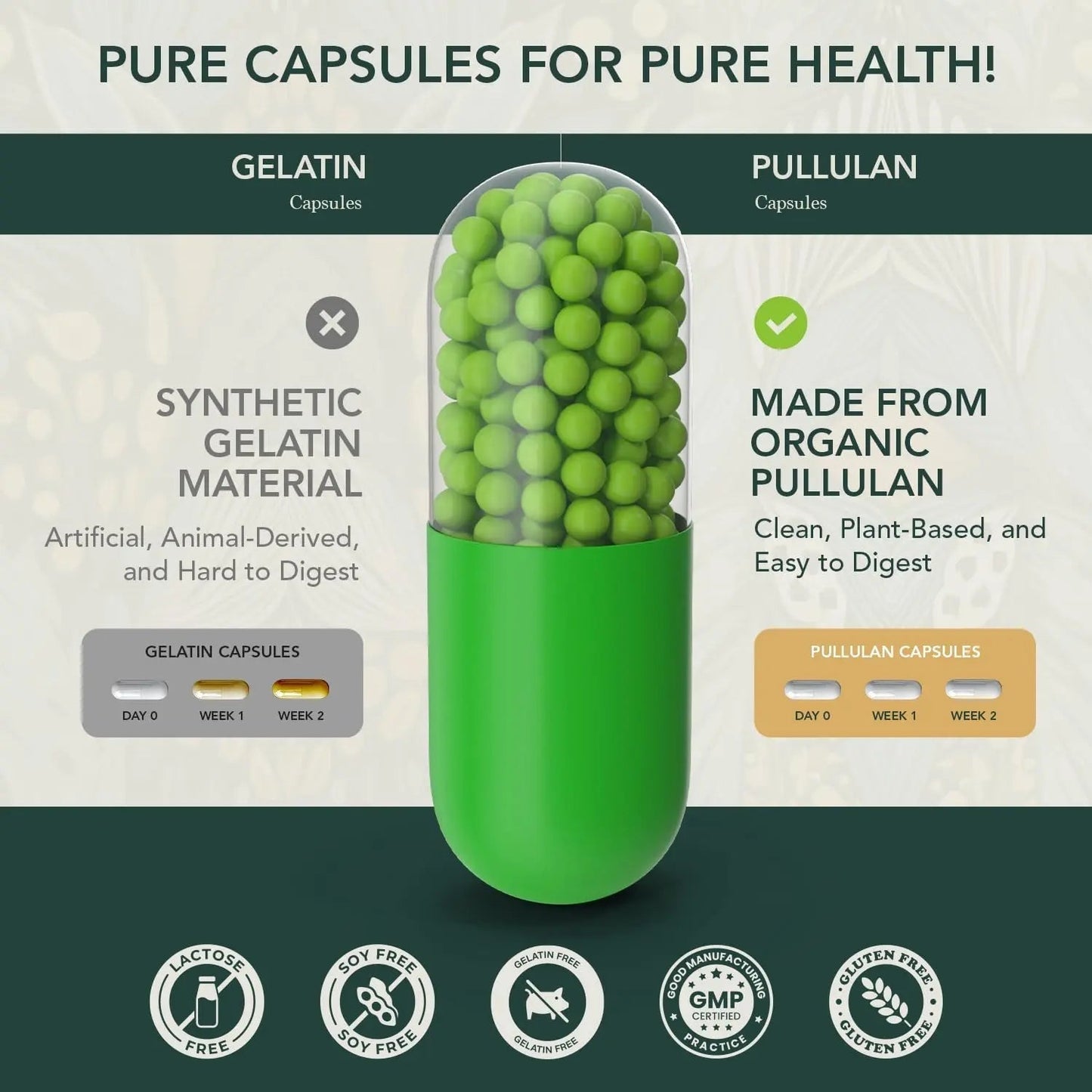 Multivitamin for Men with Vitamin D, K2, Zinc, Vitamin B12, A, E, B6, Calcium – Immune Health & Energy Support Daily Mens Multivitamins - PrimeBioHealth - canada supplements
