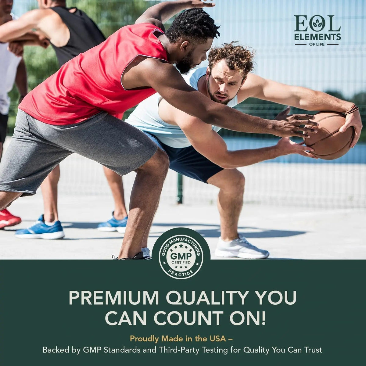 Multivitamin for Men with Vitamin D, K2, Zinc, Vitamin B12, A, E, B6, Calcium – Immune Health & Energy Support Daily Mens Multivitamins - PrimeBioHealth - canada supplements
