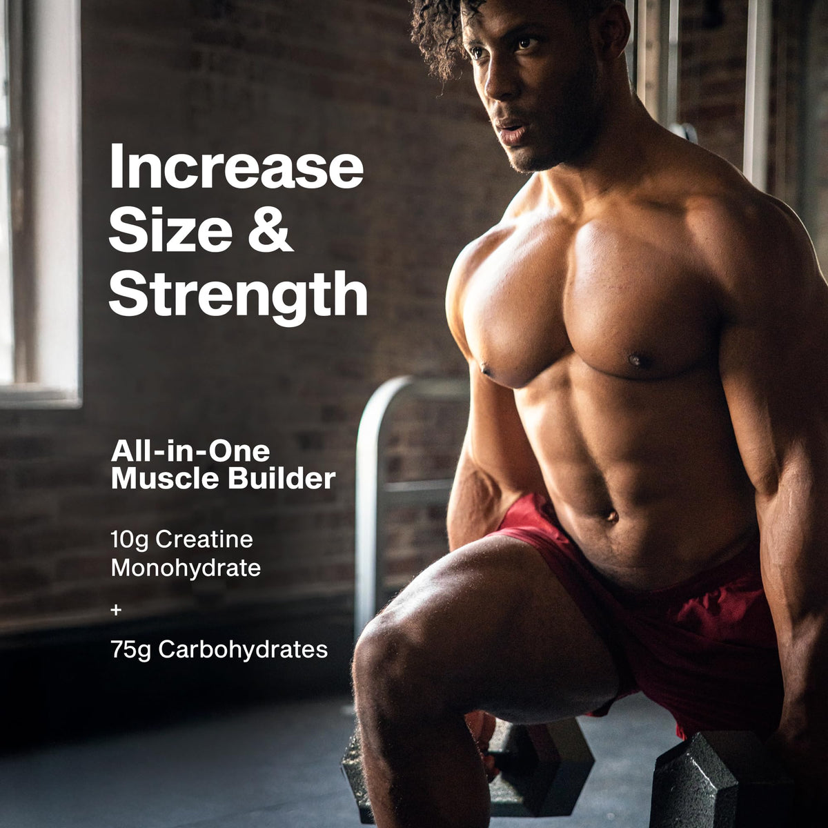 MuscleTech Cell-Tech Creactor Creatine HCl Powder | Post Workout Muscle Builder for Men & Women | Creatine Hydrochloride - PrimeBioHealth - canada supplements