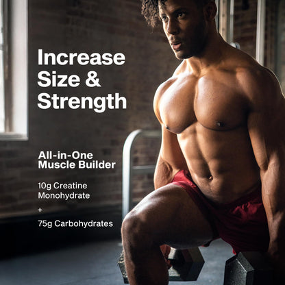 MuscleTech Cell-Tech Creactor Creatine HCl Powder | Post Workout Muscle Builder for Men & Women | Creatine Hydrochloride - PrimeBioHealth - canada supplements