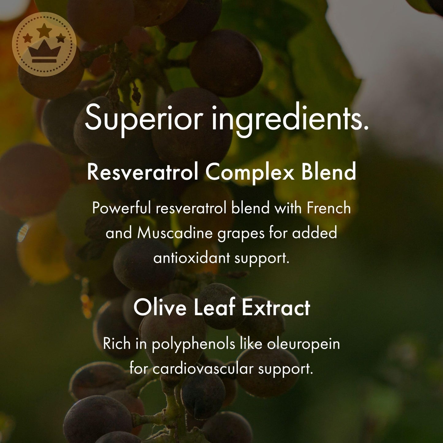 NAOMI Italian Citrus Bergamot 500mg + Resveratrol, Award-Winning Cardiologist Dvlpd, Supports Normal Cholesterol & Healthy Cellular Function, 7 Key Polyphenols - PrimeBioHealth - canada supplements