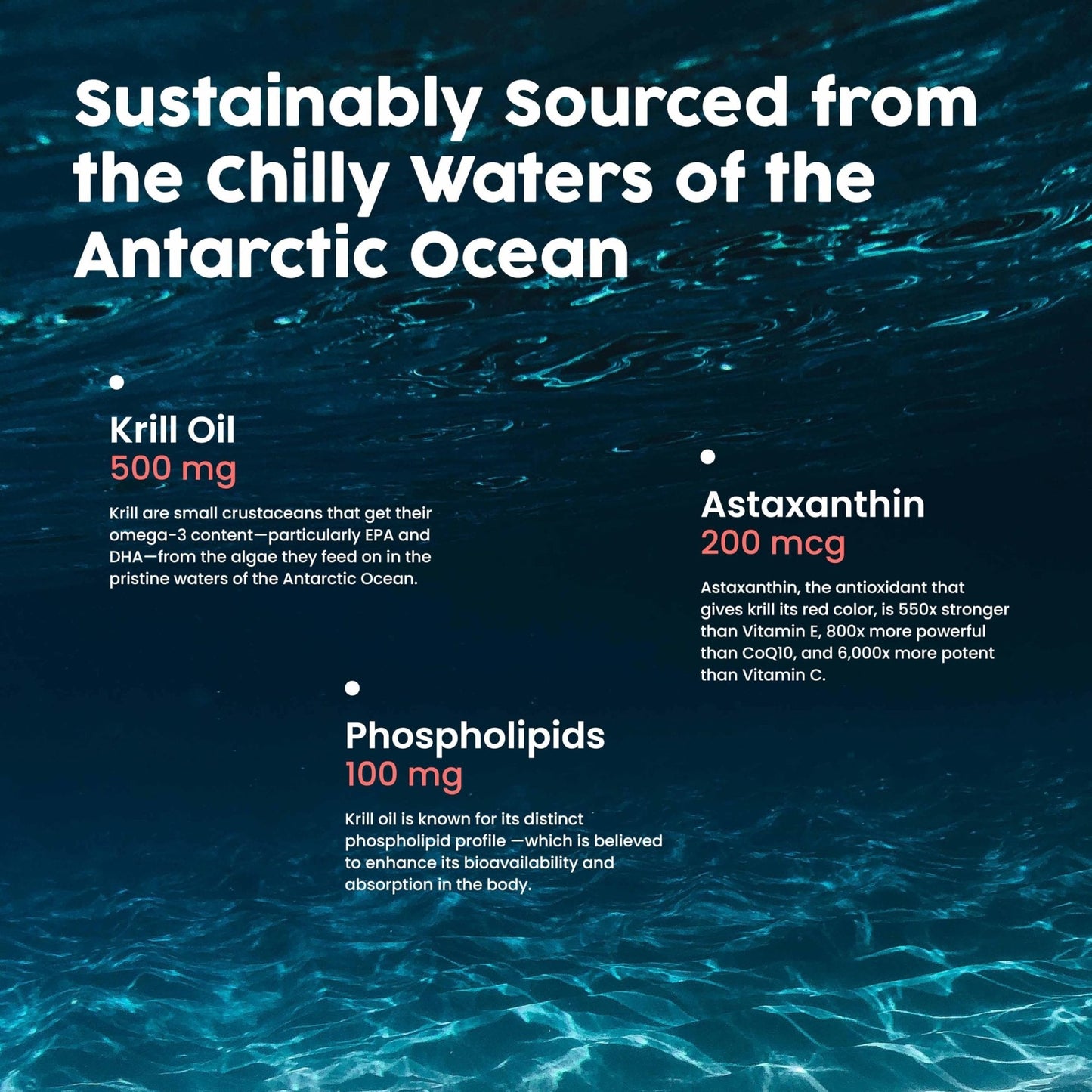 NativePath Antarctic Krill Oil - Wild-Caught Omega 3 Krill Oil 500mg Softgels with EPA, DHA and Astaxanthin - Supplement for Joint, Hear - PrimeBioHealth - canada supplements