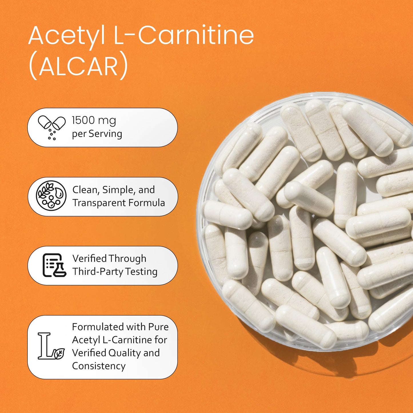 NaturaLife Labs Acetyl L-Carnitine (ALCAR) 1500 mg per Serving – 100 Capsules – Non-GMO, Gluten-Free, Vegan - PrimeBioHealth - canada supplements