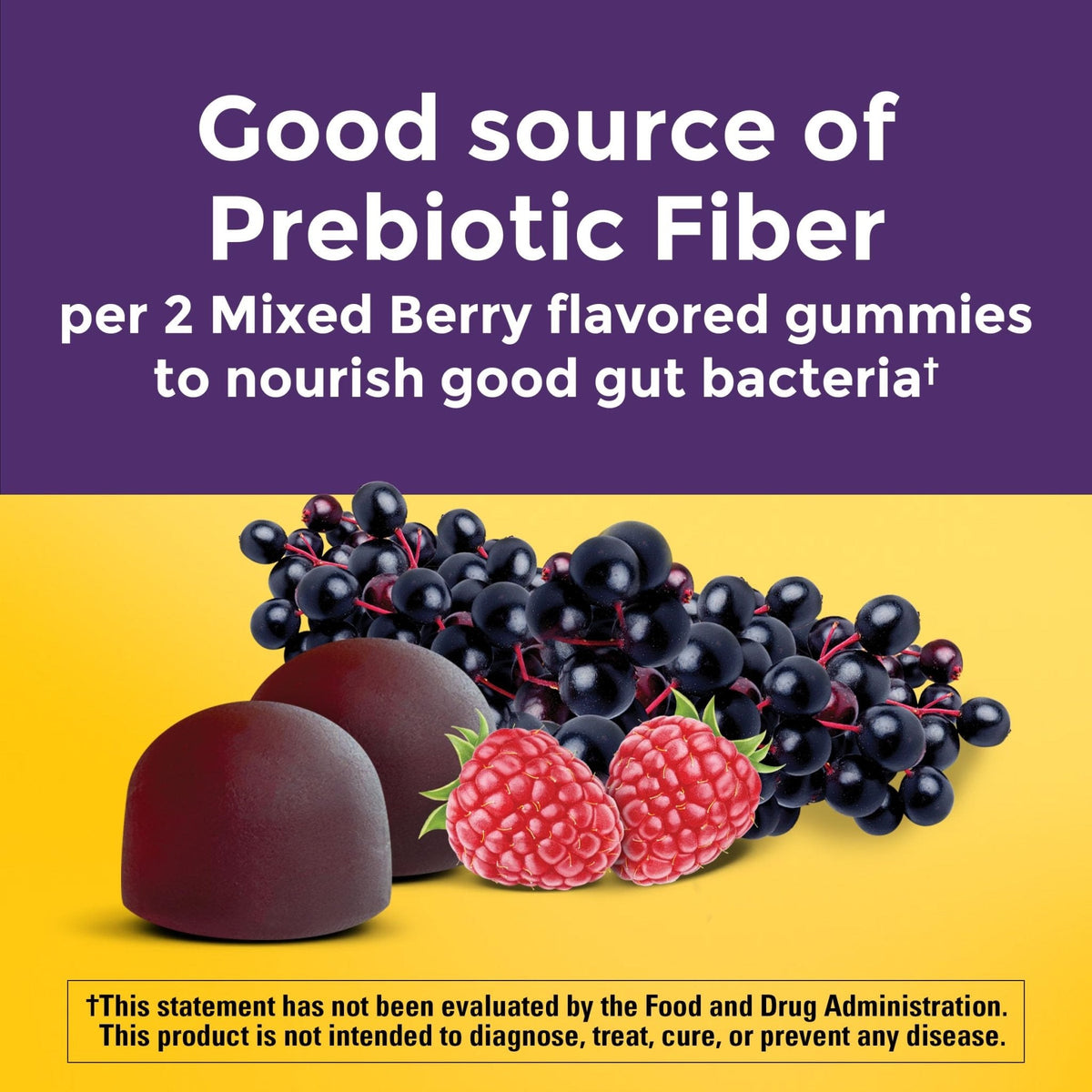 Nature Made Probiotic + Prebiotic Fiber Gummies for Daily Gut Health, Fiber Supplement with Probiotics for Digestive Health Support - PrimeBioHealth - canada supplements