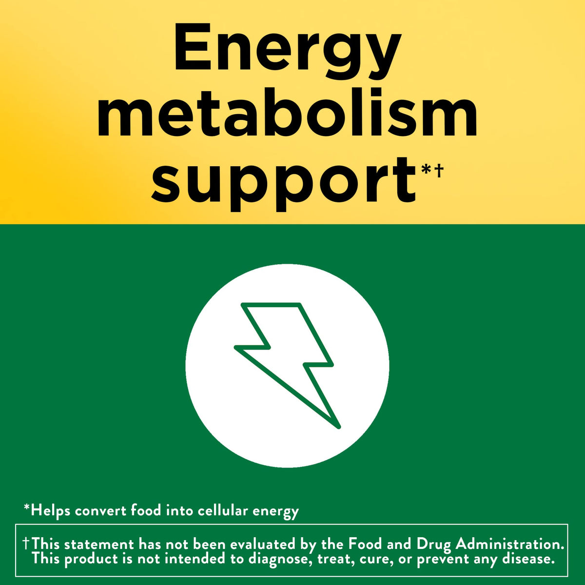 Nature Made Super B Complex Vitamins for Women and Men, Dietary Supplement for Energy Metabolism Support, Super Vitamin B Complex - PrimeBioHealth - canada supplements