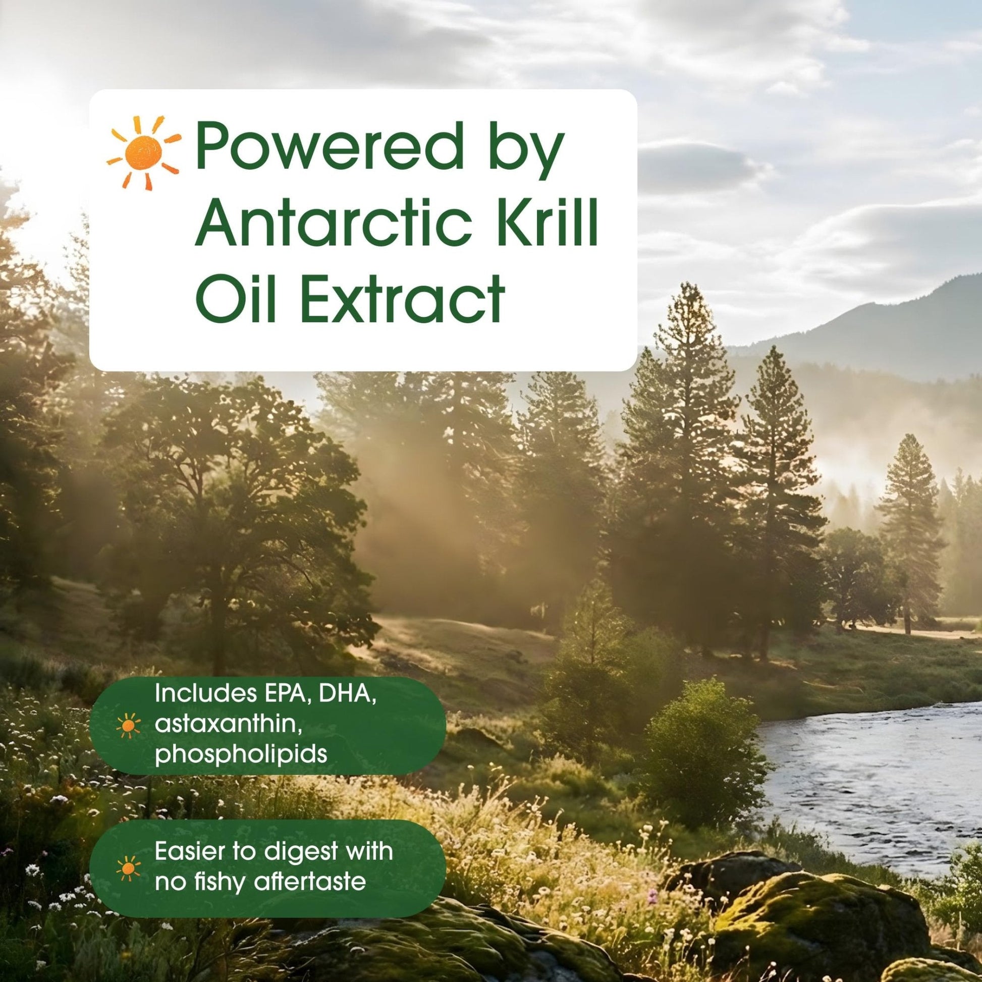 NatureBell Antarctic Krill Oil 1,000mg - 240 Softgels - Omega-3 Heart, Joint & Immune Health Support* - PrimeBioHealth - canada supplements