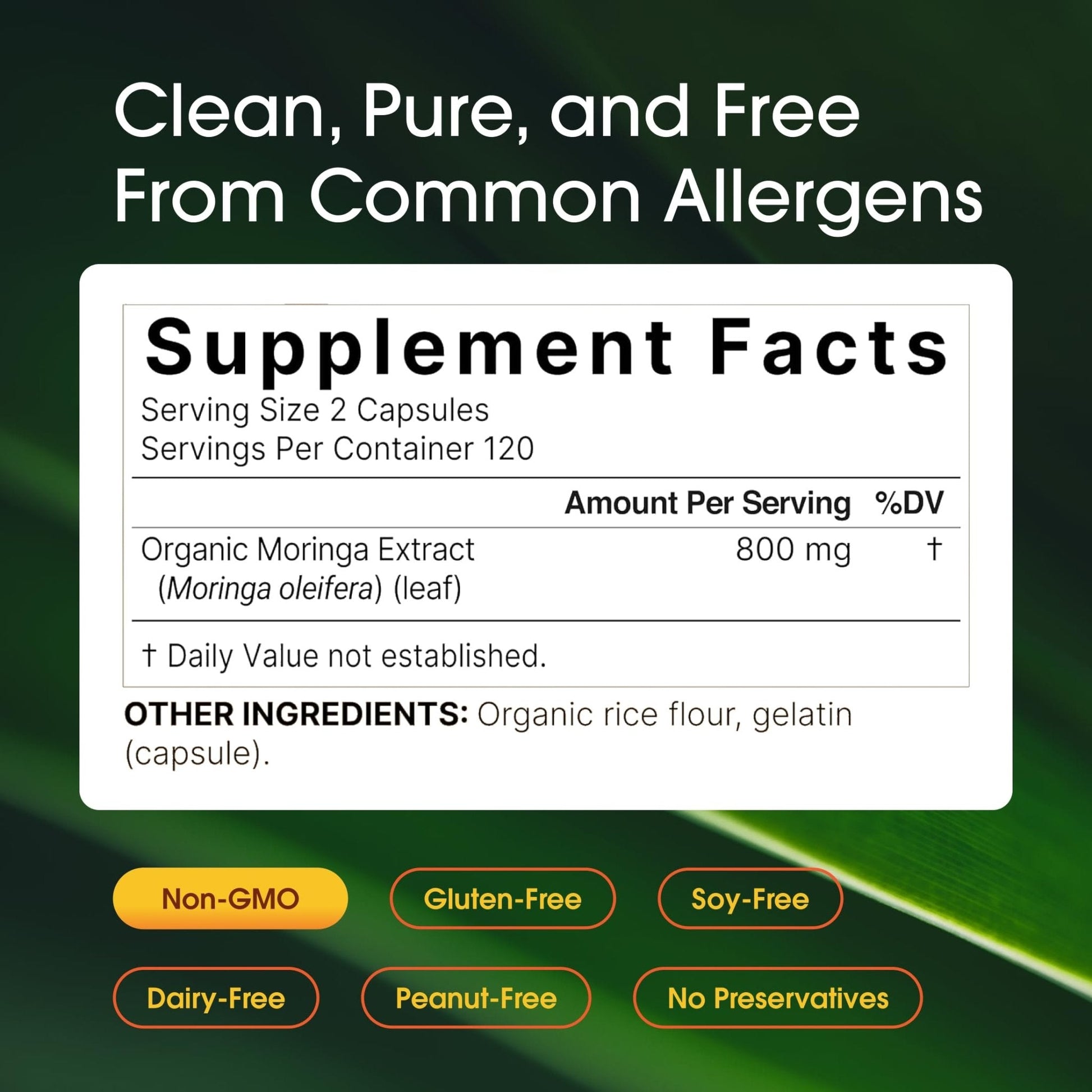 NatureBell Moringa - 240 Capsules - Organic Moringa for Immune, Energy & Skin Health Support - Green Superfood Properties - PrimeBioHealth - canada supplements