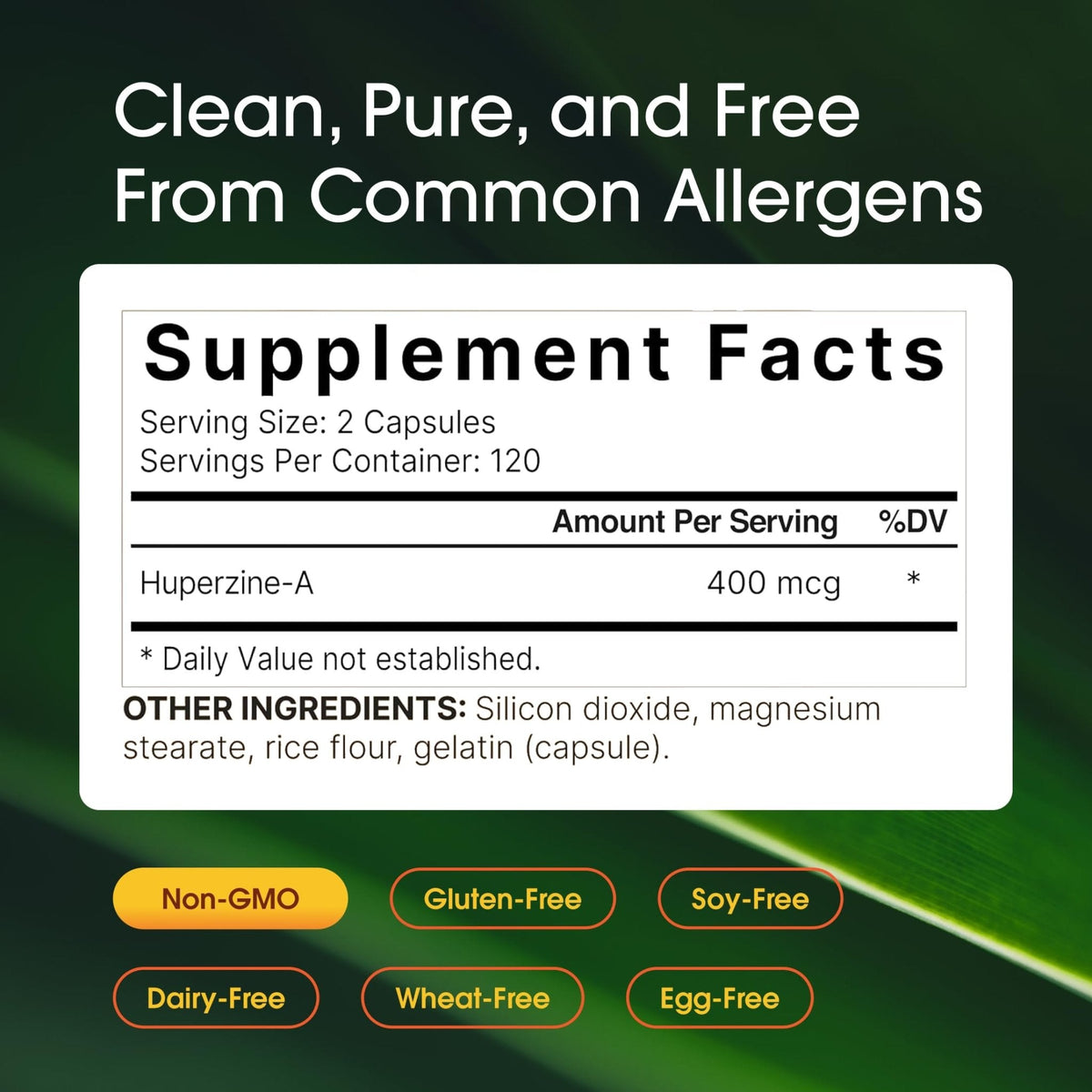 NatureBell Vitamin E 1,000 IU Per Serving - 300 Softgels - Antioxidant Supplement for Skin, Heart & Brain Health Support - PrimeBioHealth - canada supplements