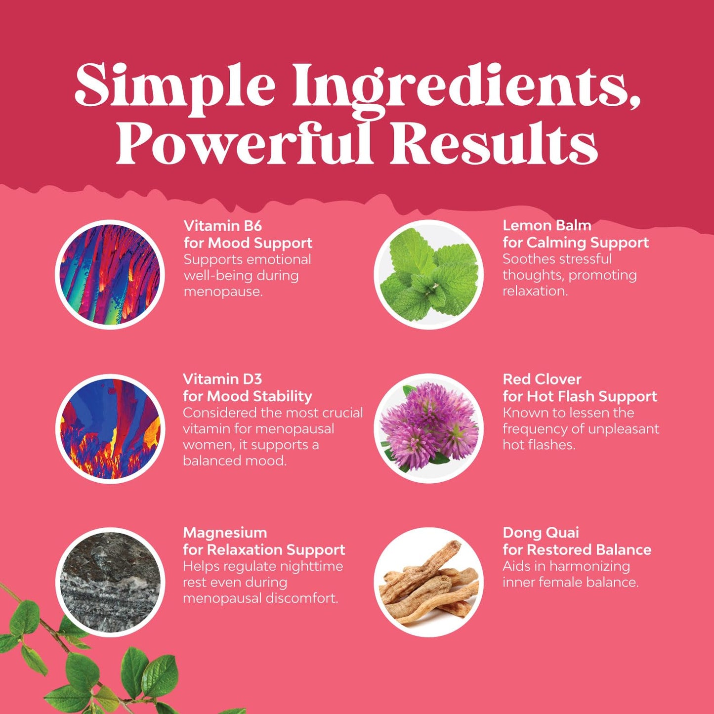 Natures Craft Complete Herbal Menopause Supplement for Women - Female Hormone Balance Capsules for Night Sweats Hot Flashes & Mood Swings with Dong Quai - PrimeBioHealth - canada supplements